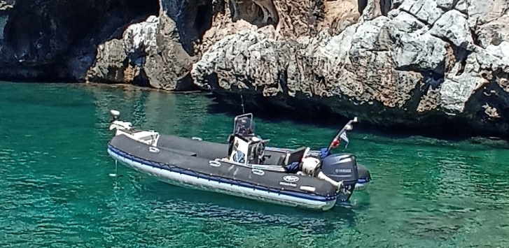 Fost Rib